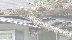 Emergency Roof Repairs