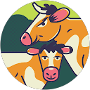 Angi Grassley profile picture